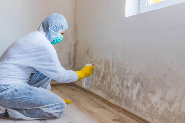Licensed Mold Inspection And Testing service in Towson, MD - Mold Remediation HQ