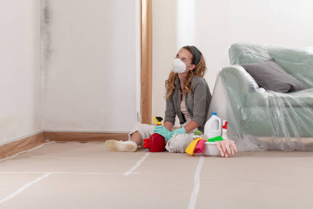 Reliable Mold Inspection And Testing contractor in Towson, MD by Mold Remediation HQ